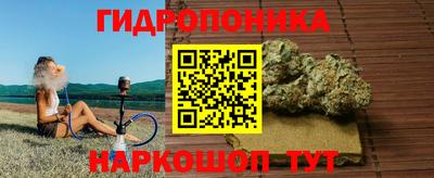 индика Нарткала