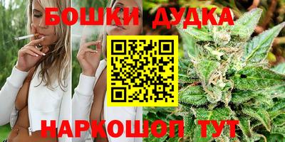 индика Нарткала