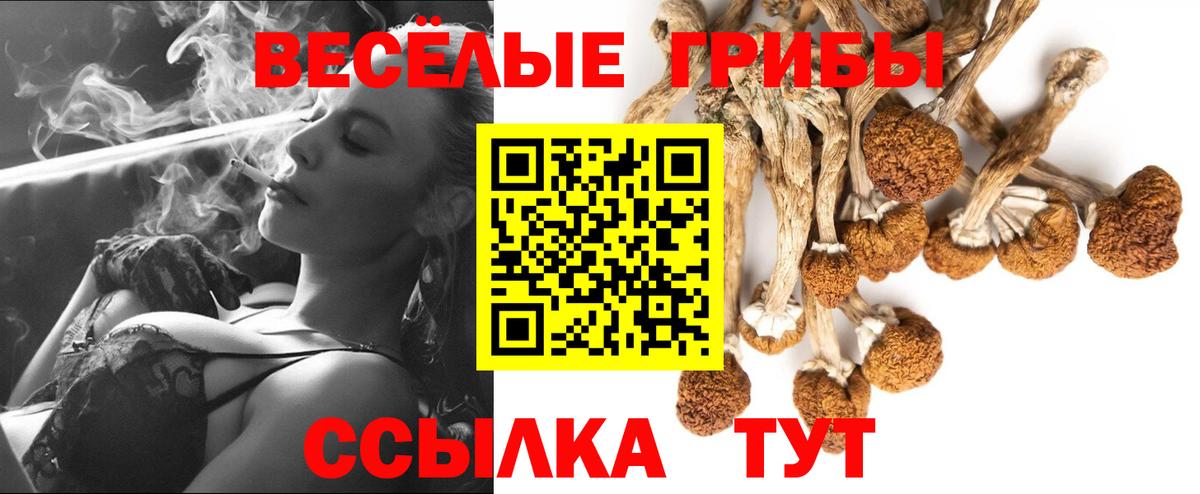 Галлюциногенные грибы мицелий  купить наркотик  Тайшет  Вход с VPN 