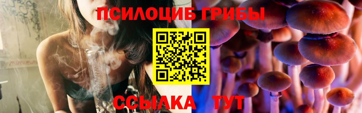 Псилоцибиновые грибы Psilocybine cubensis Тайшет